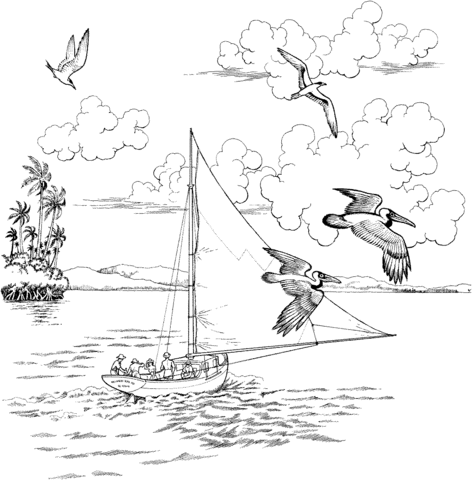 Two Pelicans Fly Over The Sailboat Coloring Page